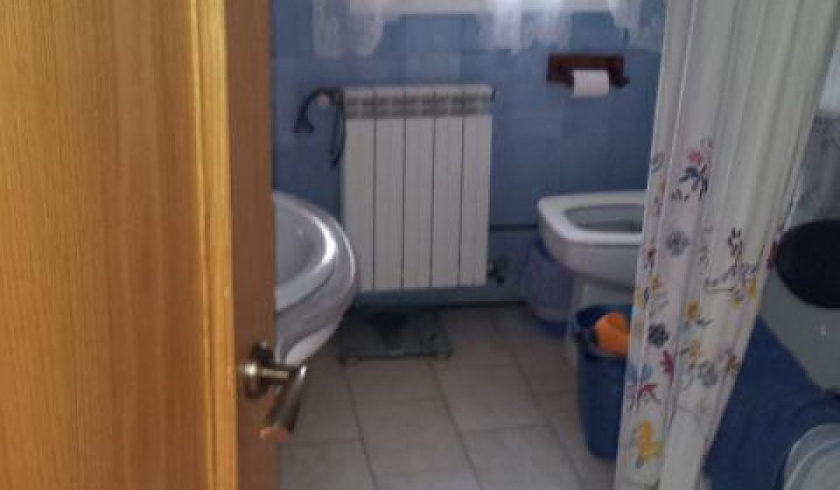 2947273-813b22fa