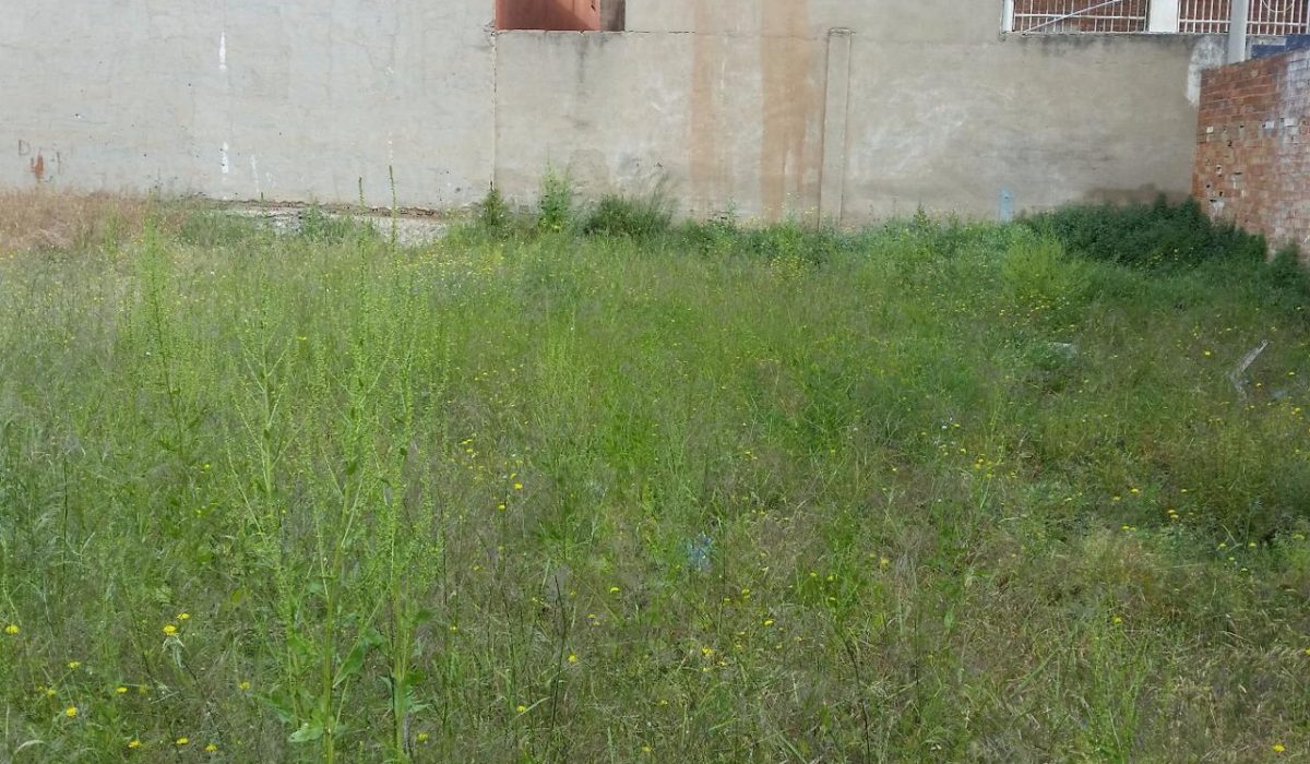 2947335-239fc379