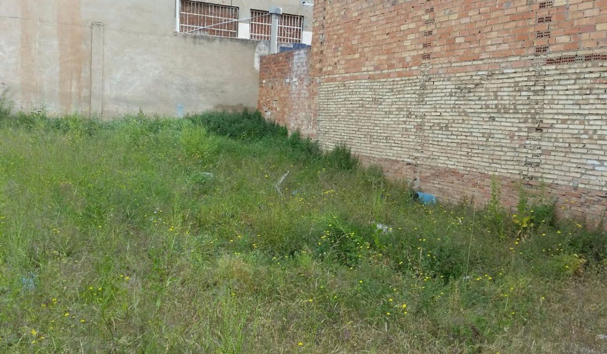 2947335-cde92c62
