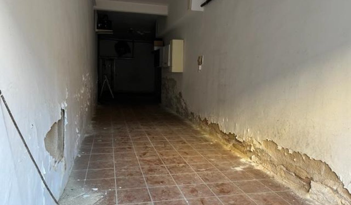 3598163-7e1337db
