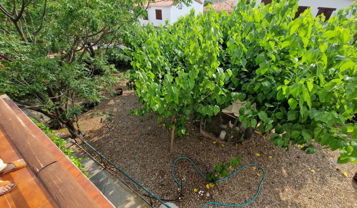 3747980-291c3261